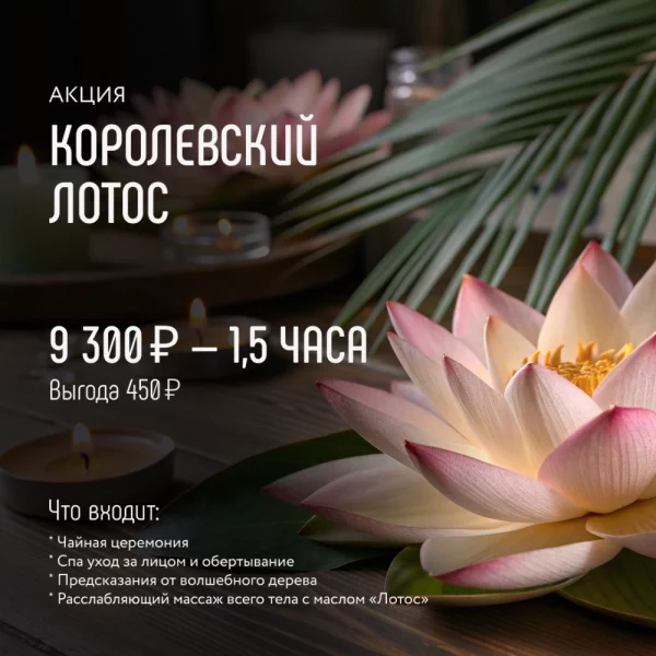 Акция Королевский лотос